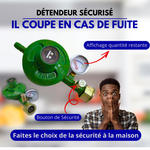Load image into Gallery viewer, Détendeur à Gaz intelligent / Dispositif de sécurité avec manomètre
