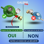 Load image into Gallery viewer, Détendeur à Gaz intelligent / Dispositif de sécurité avec manomètre
